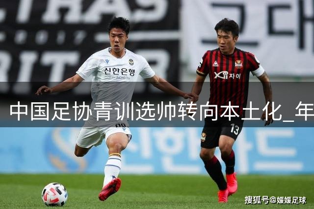 中国足协青训选帅转向本土化 年轻教练迎执教良机